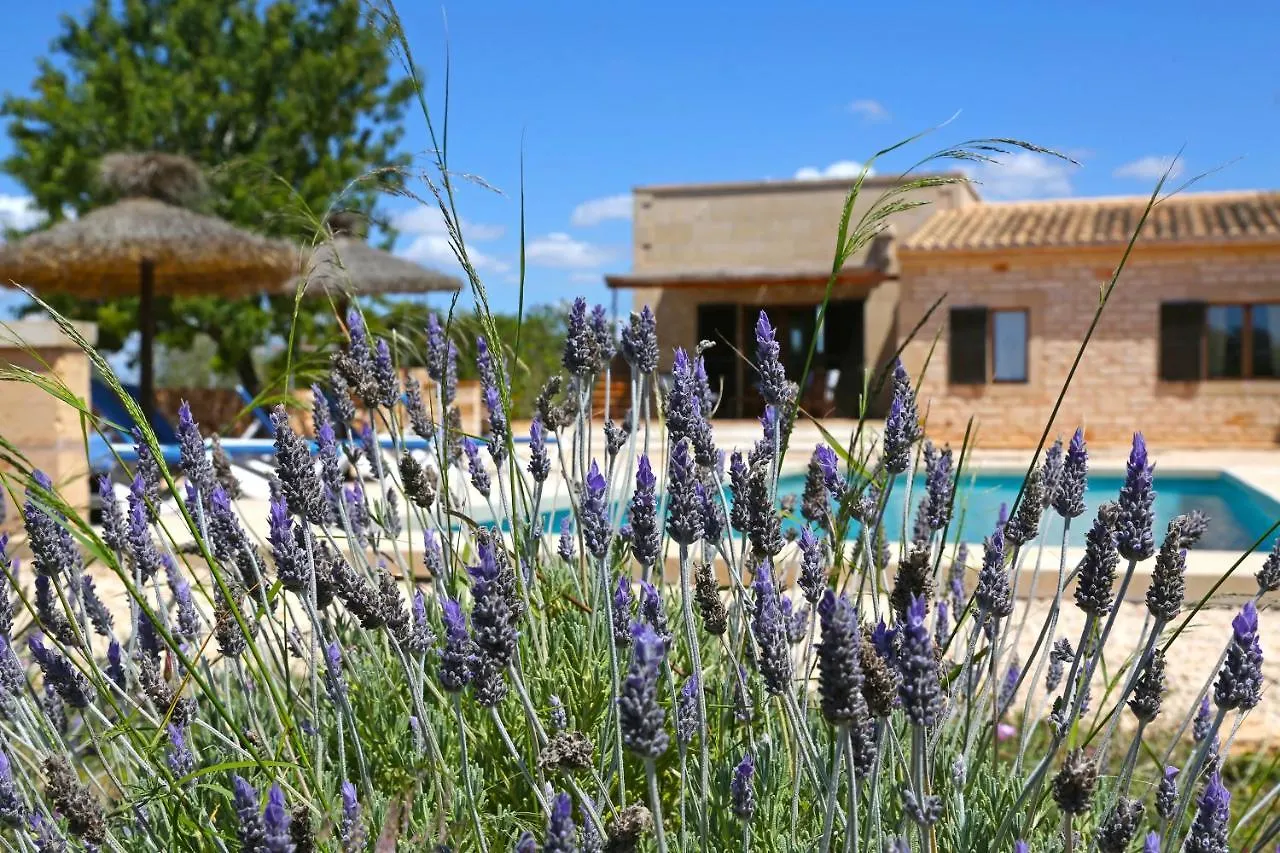 Finca Tiana Ses Salines  Španělsko