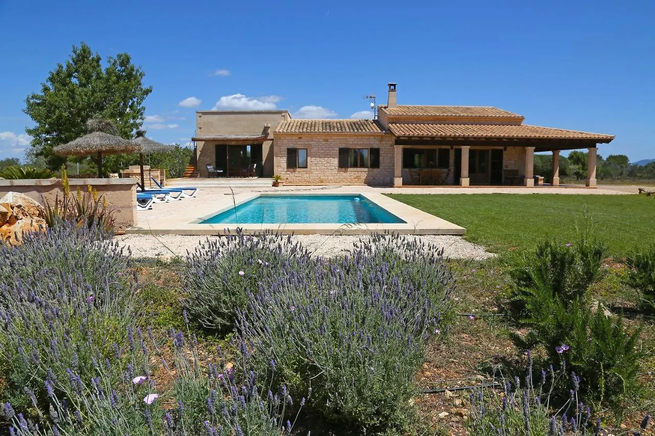 Prázdninový dům Finca Tiana Ses Salines  Španělsko