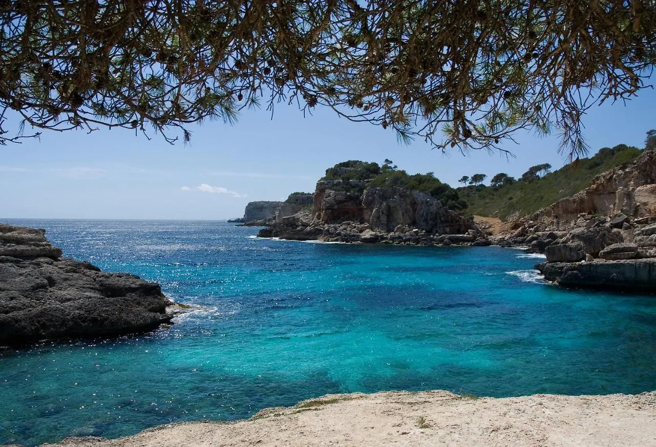 Finca Tiana Ses Salines  Holiday home